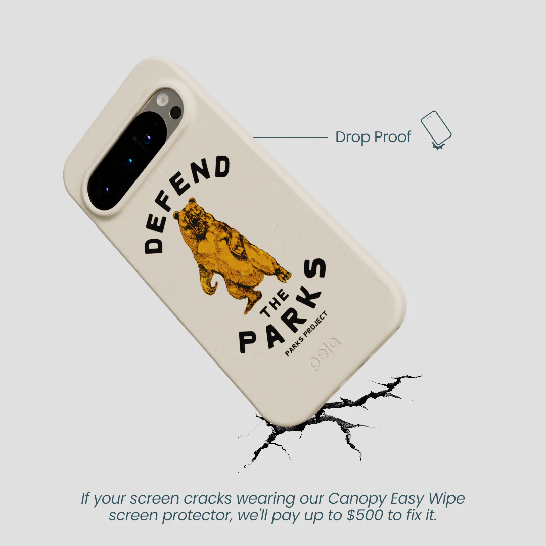 London Fog Defend the Parks Google Pixel 9/9 Pro Case - Image 4