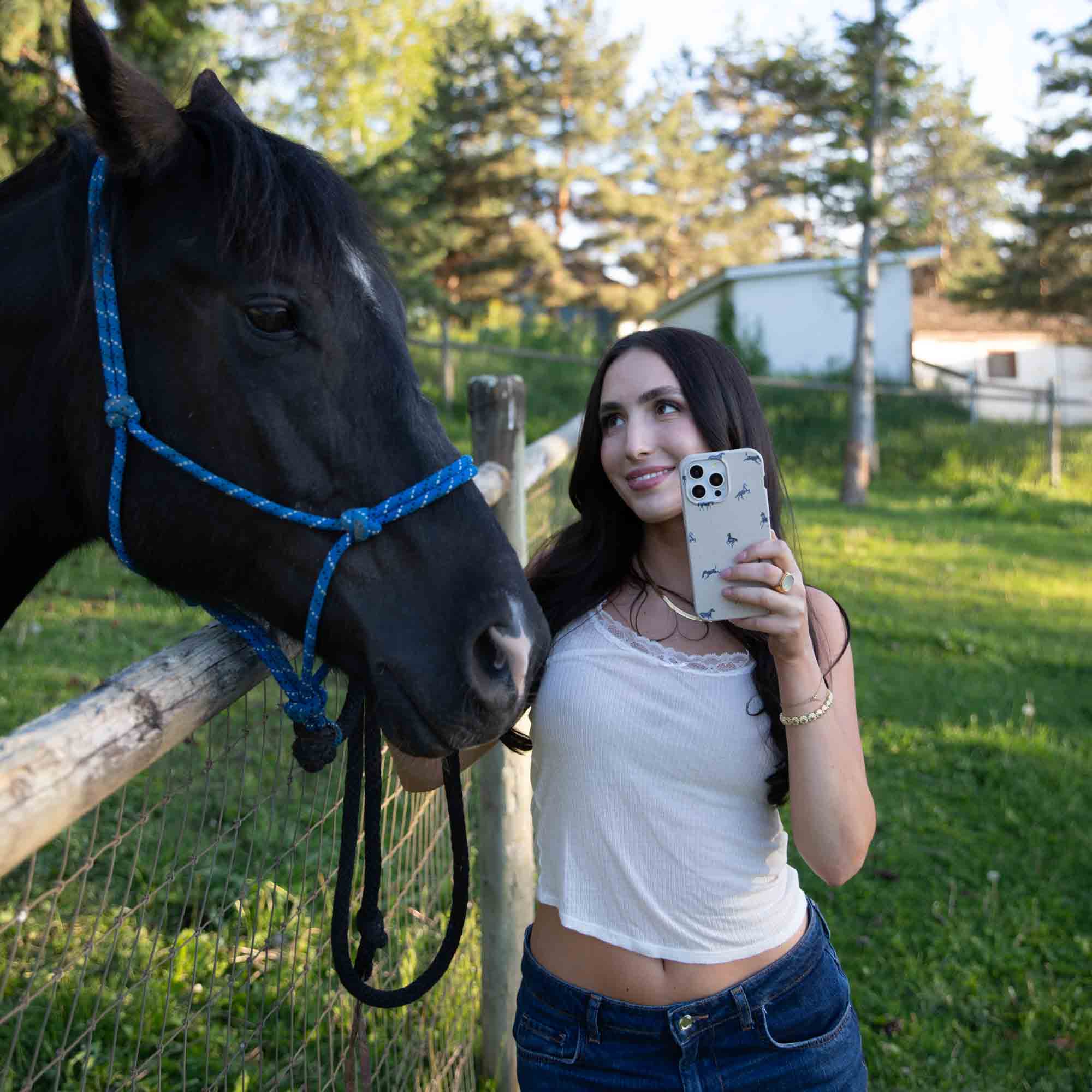 London Fog Mini Horses Google Pixel 9a Case - Image 2