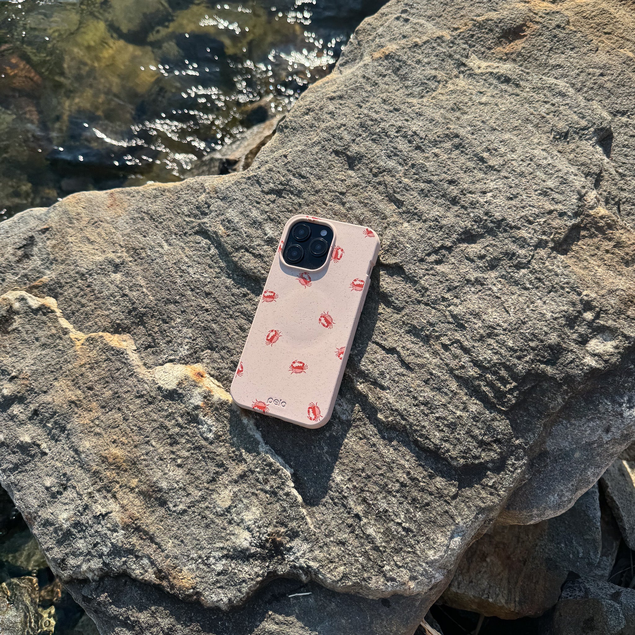 Seashell Lil Crabby Google Pixel 9/9 Pro Case - Image 6