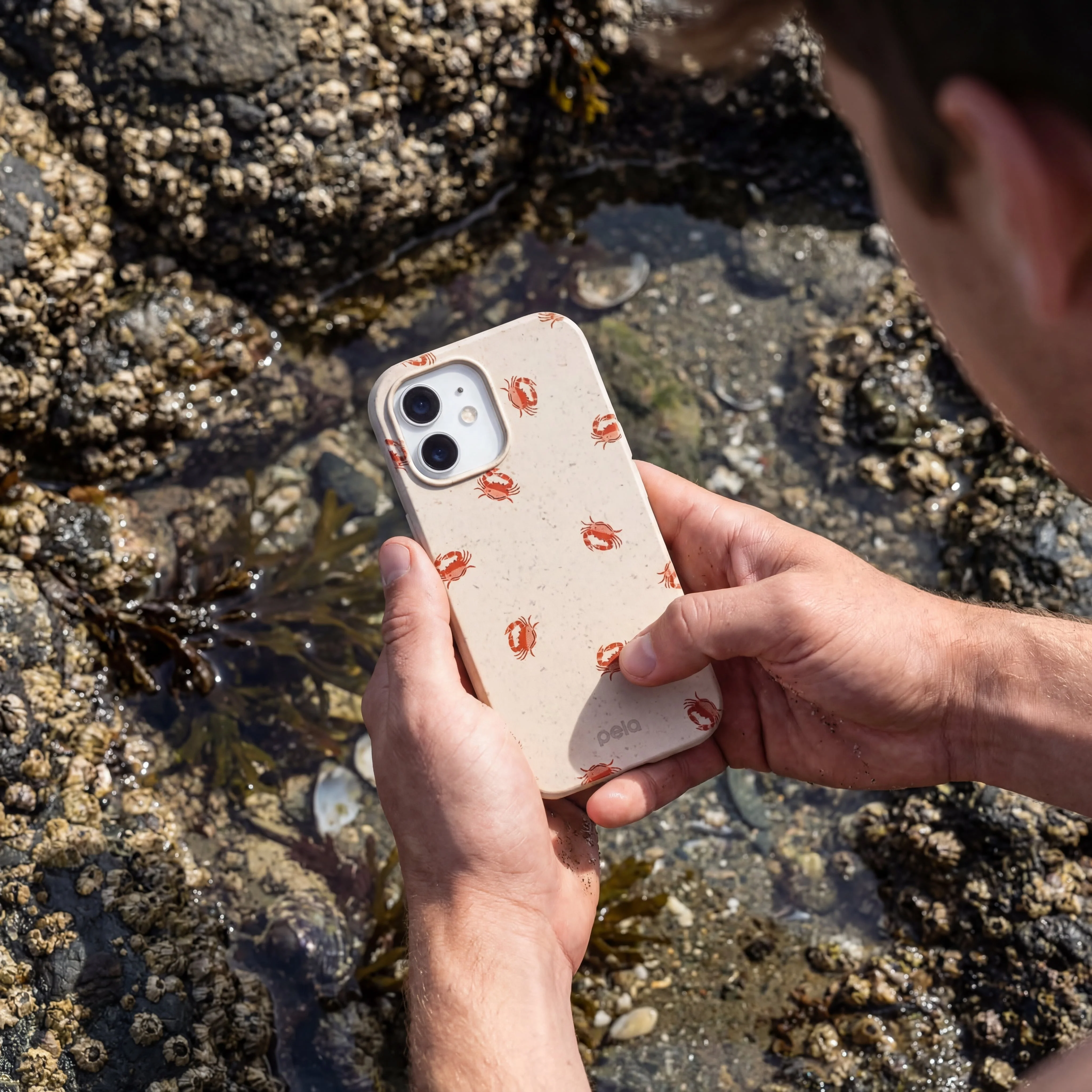 Seashell Lil Crabby iPhone 16 Case - Image 2