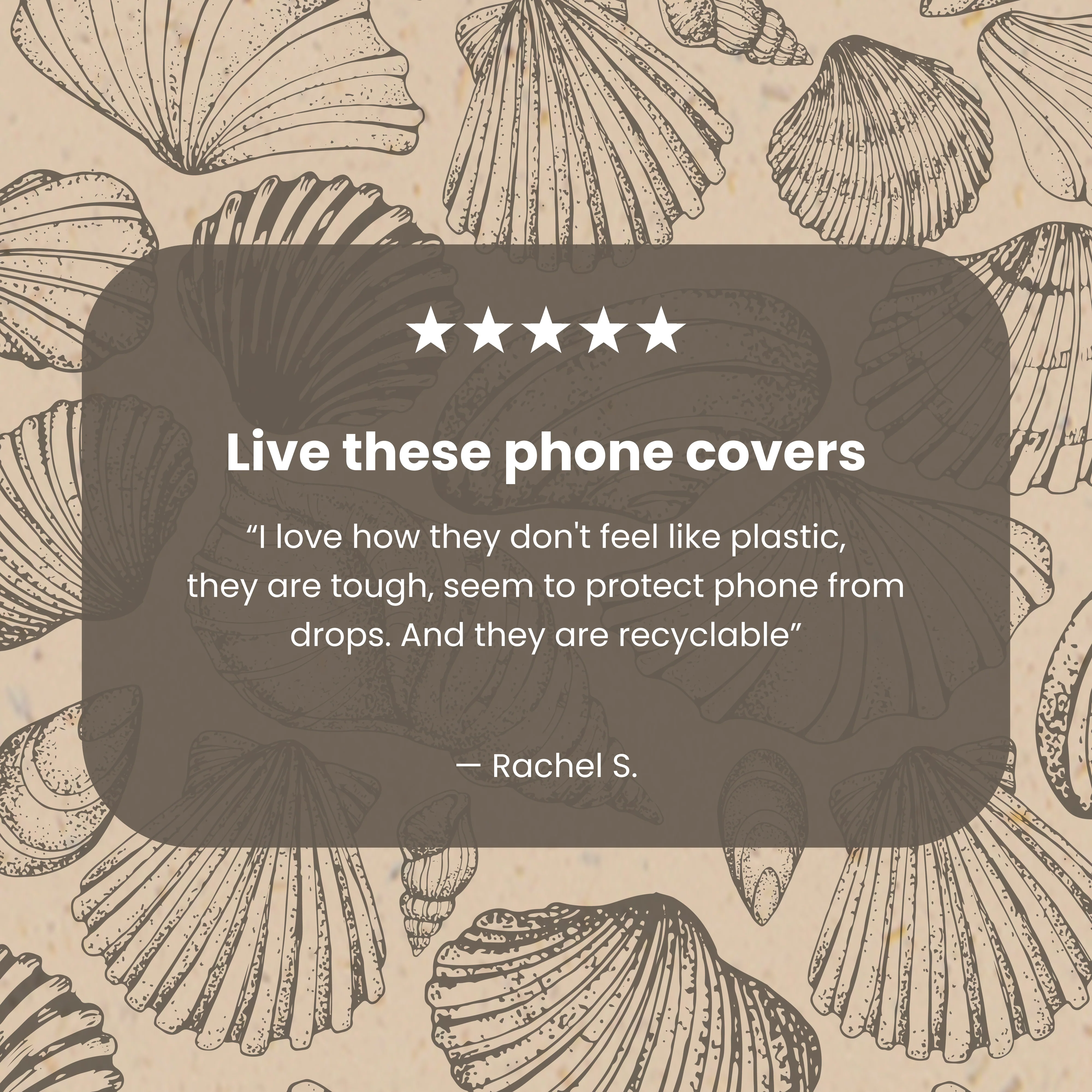 Seashell Seashore Google Pixel 9/9 Pro Case - Image 7